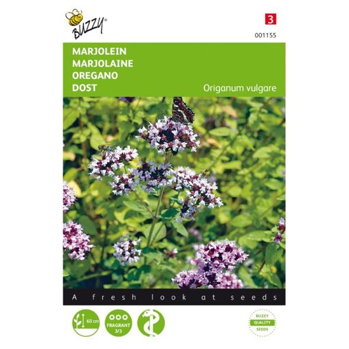 Buzzy Oregano